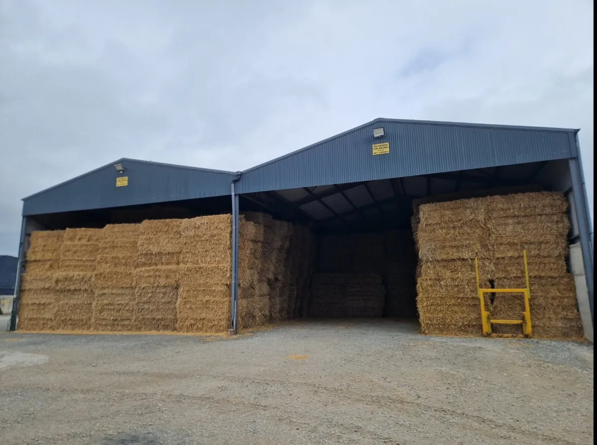 Barley and Wheat Straw Big Squares - Image 1