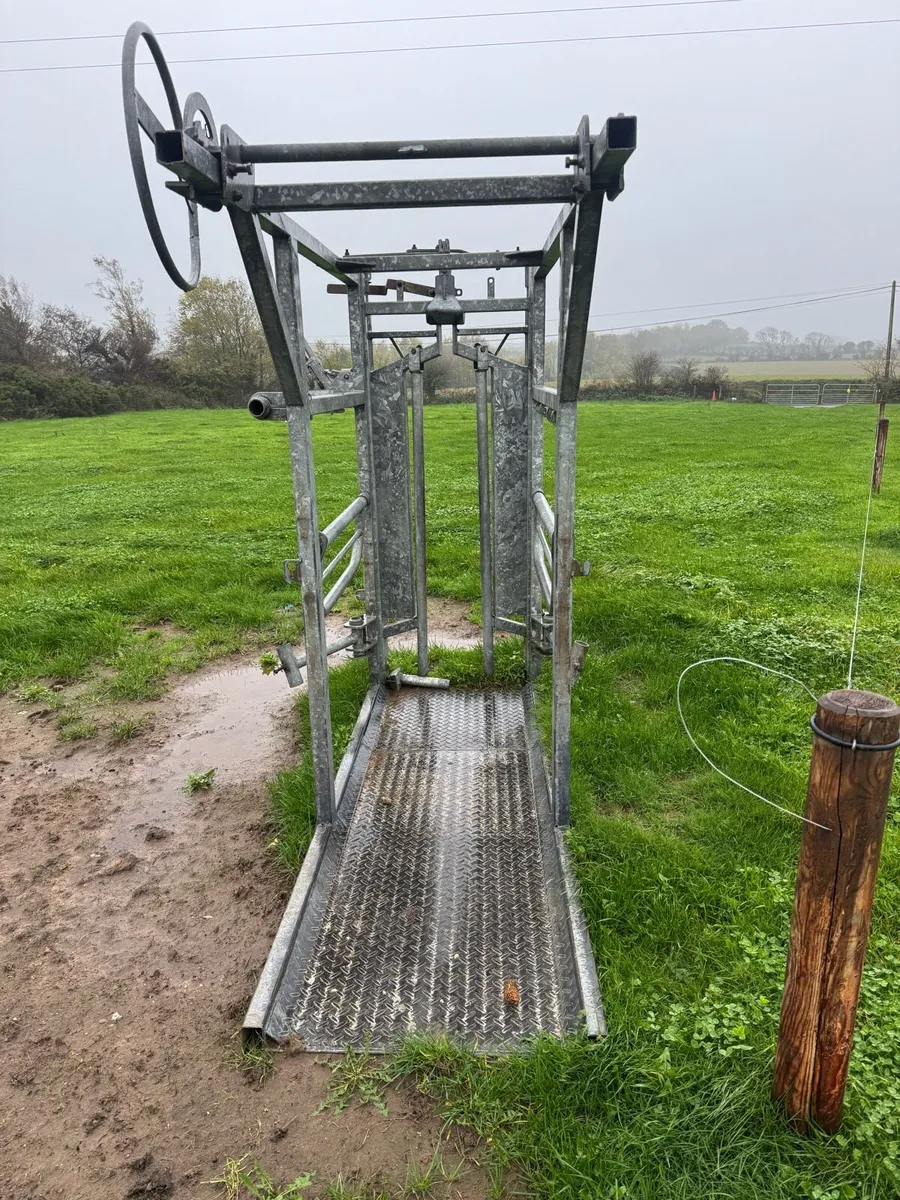 Cattle Crush - Image 2