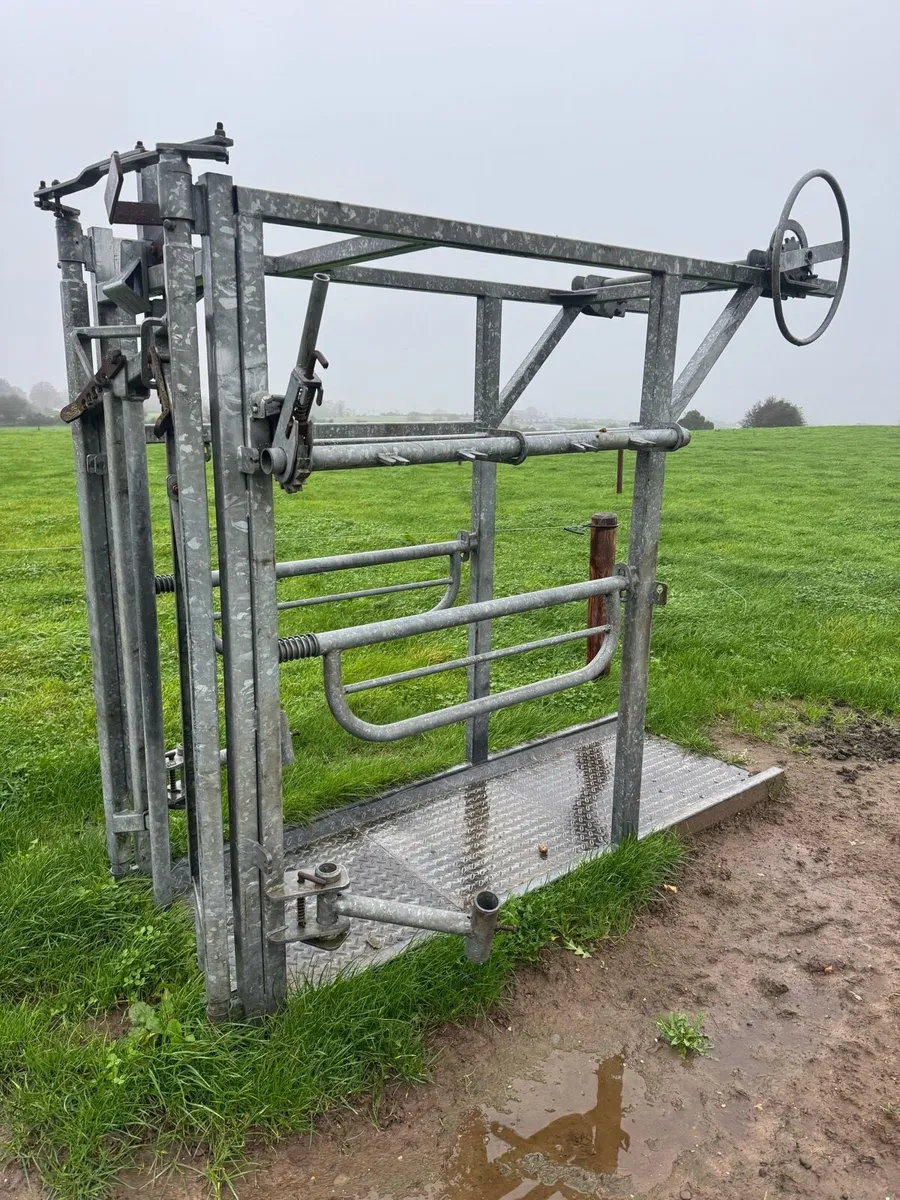 Cattle Crush - Image 1