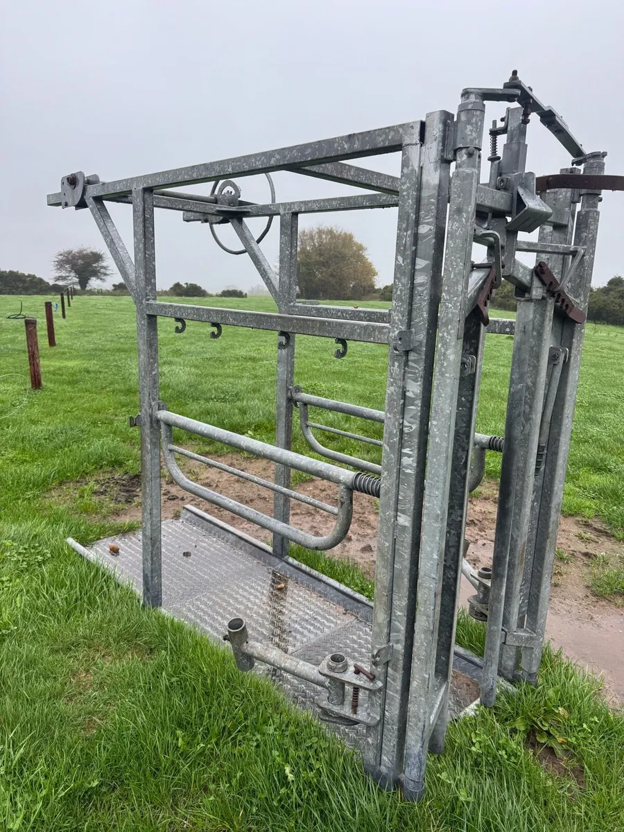 Cattle Crush - Image 3