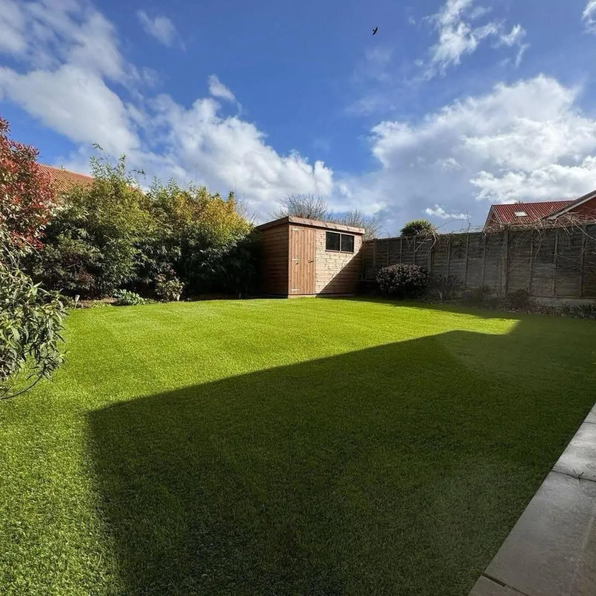 Brand New 40MM Artificial Garden Grass - Image 4