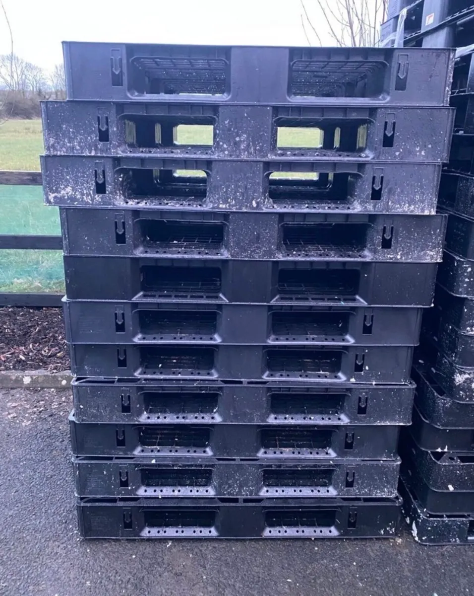 Plastic pallets - Image 2