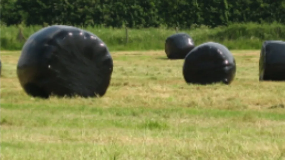 Round bales silage