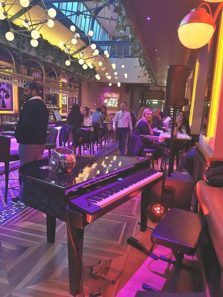 Dutch Grand piano Shell - Image 1