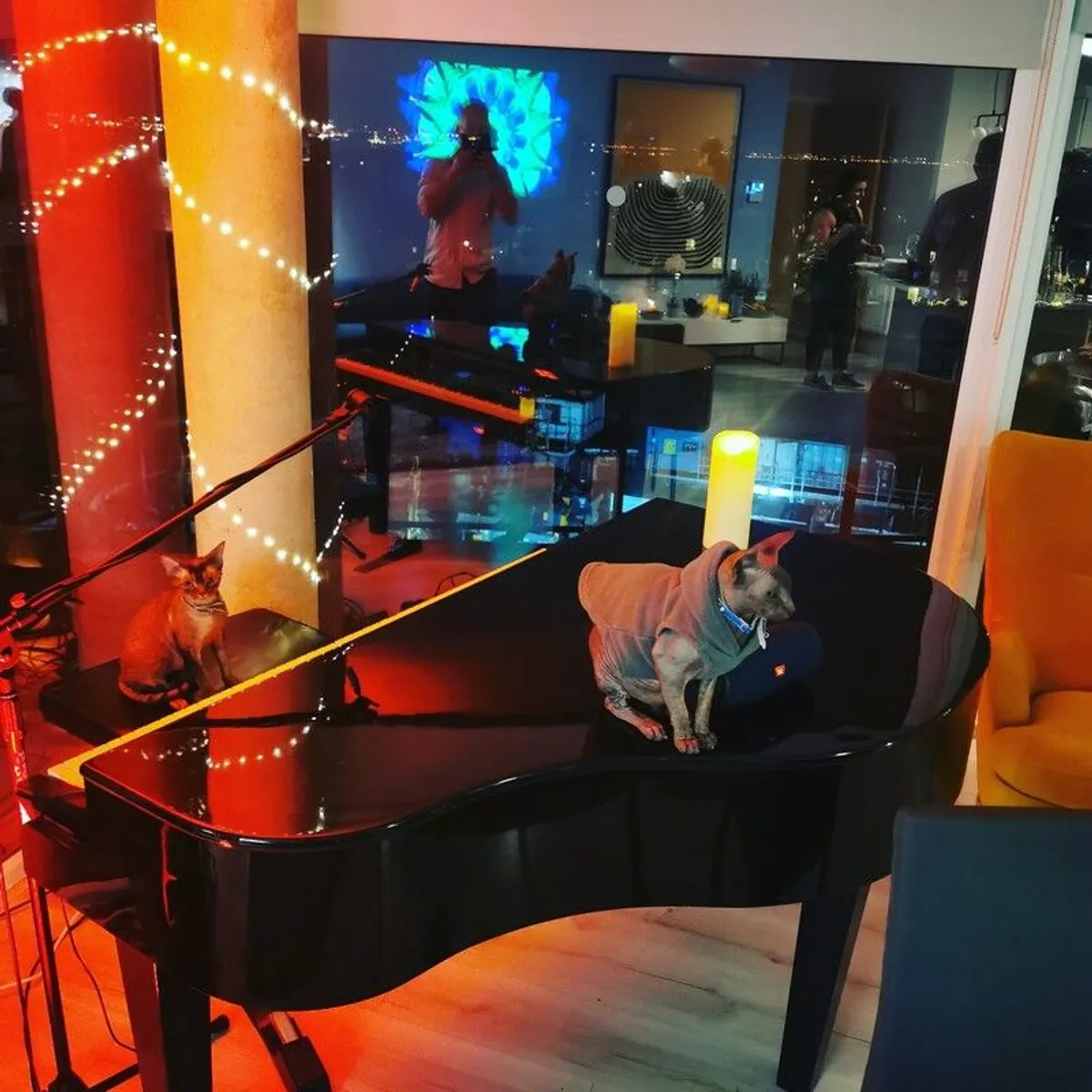 Dutch Grand piano Shell - Image 2