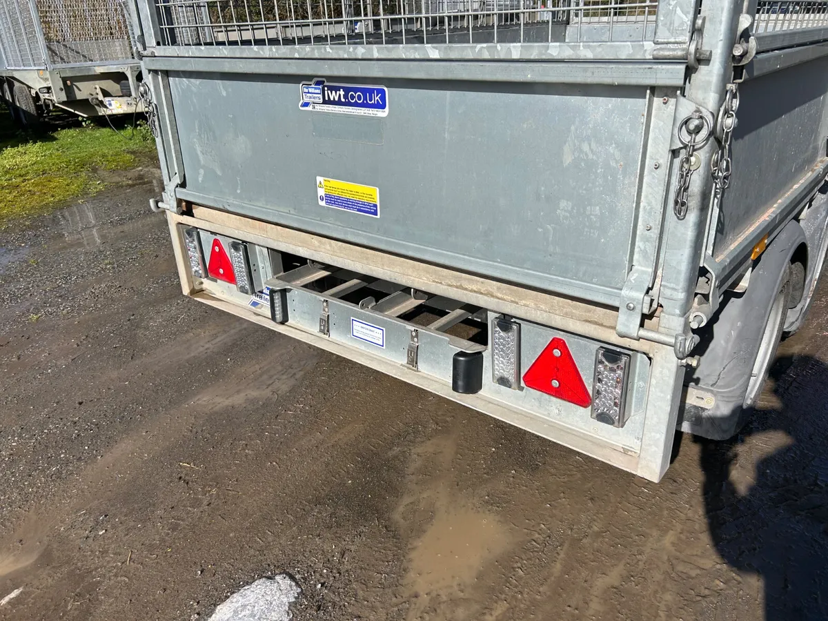 2021 Ifor Williams 8x5 with Mesh 3500 kg - Image 2