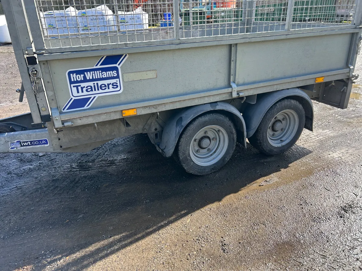 2021 Ifor Williams 8x5 with Mesh 3500 kg - Image 3