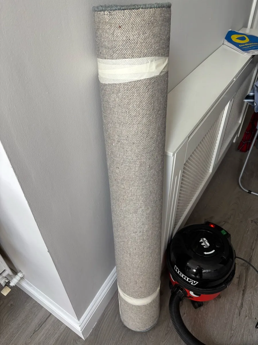 Asiatic 100% Wool Rug - Image 4