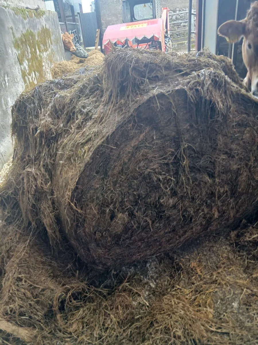 Round bales - Image 3