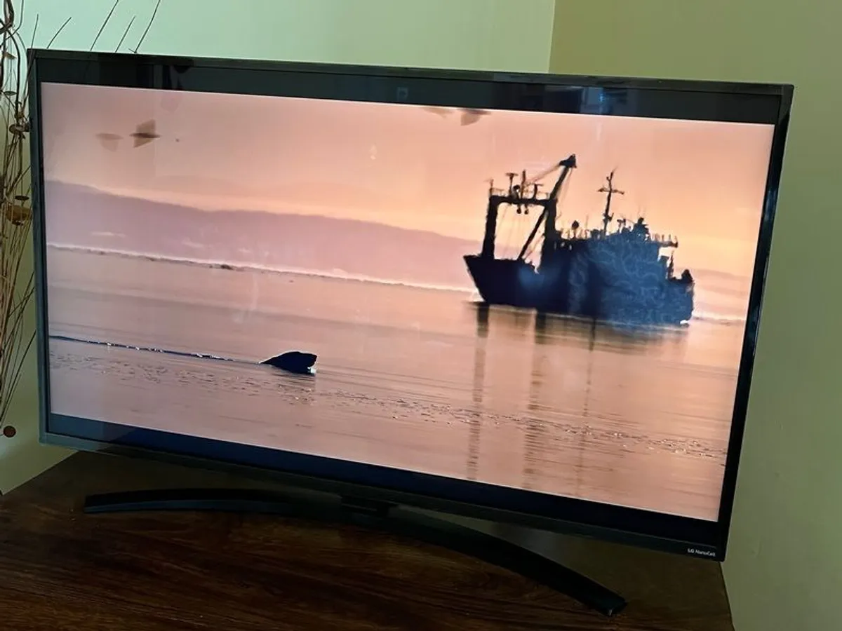 LG 43" NanoCell Smart TV (like new) - Image 2
