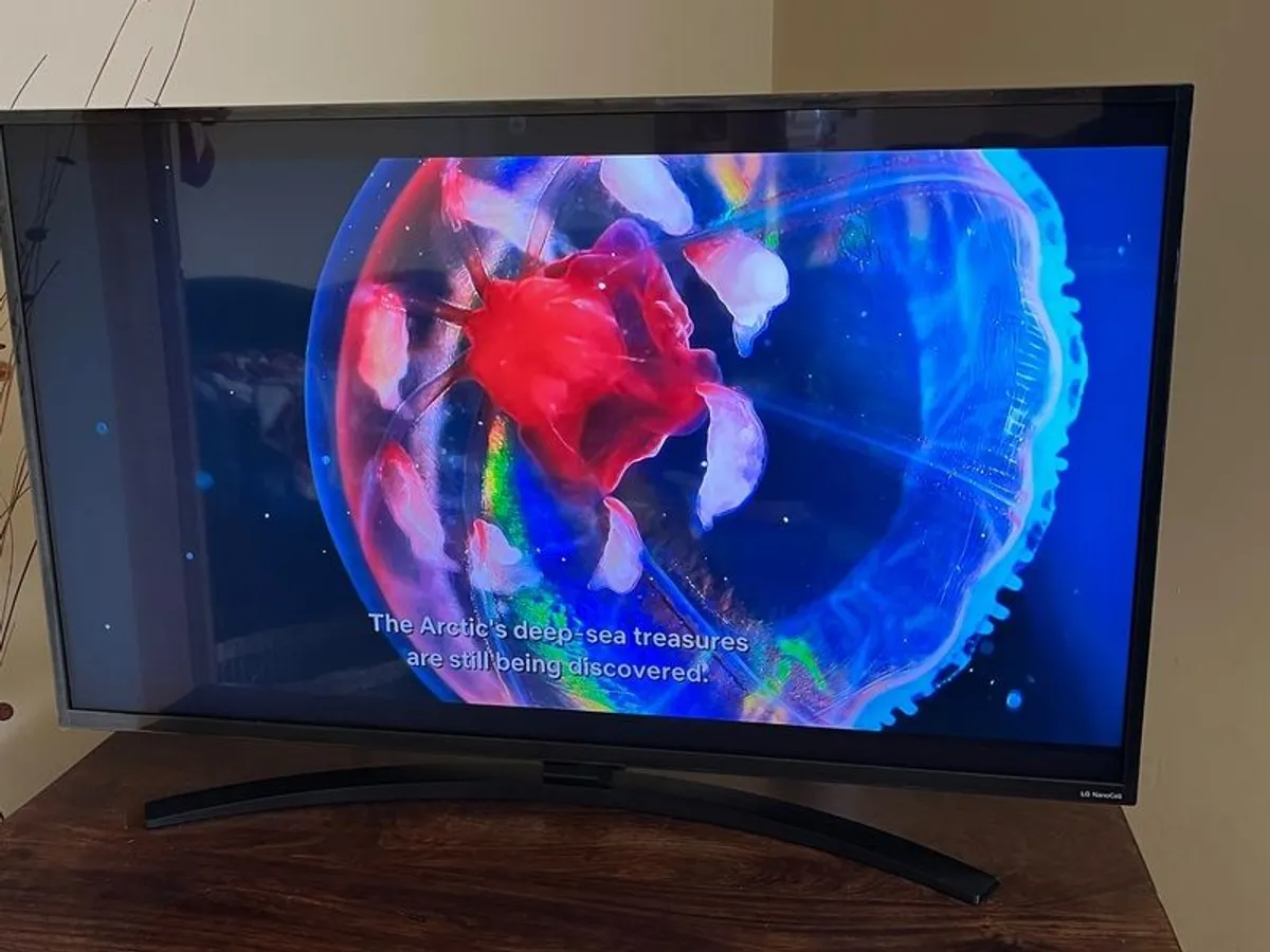 LG 43" NanoCell Smart TV (like new) - Image 3