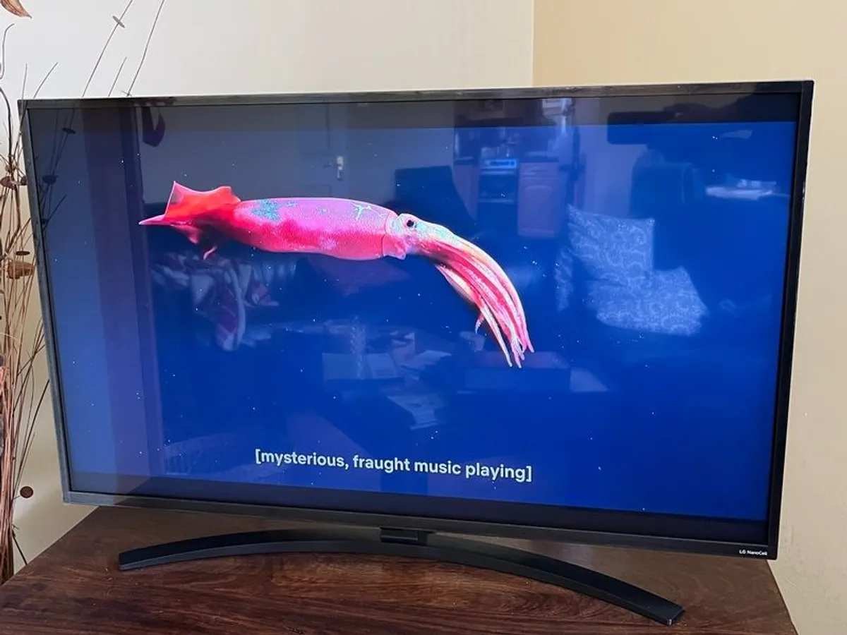 LG 43" NanoCell Smart TV (like new) - Image 4