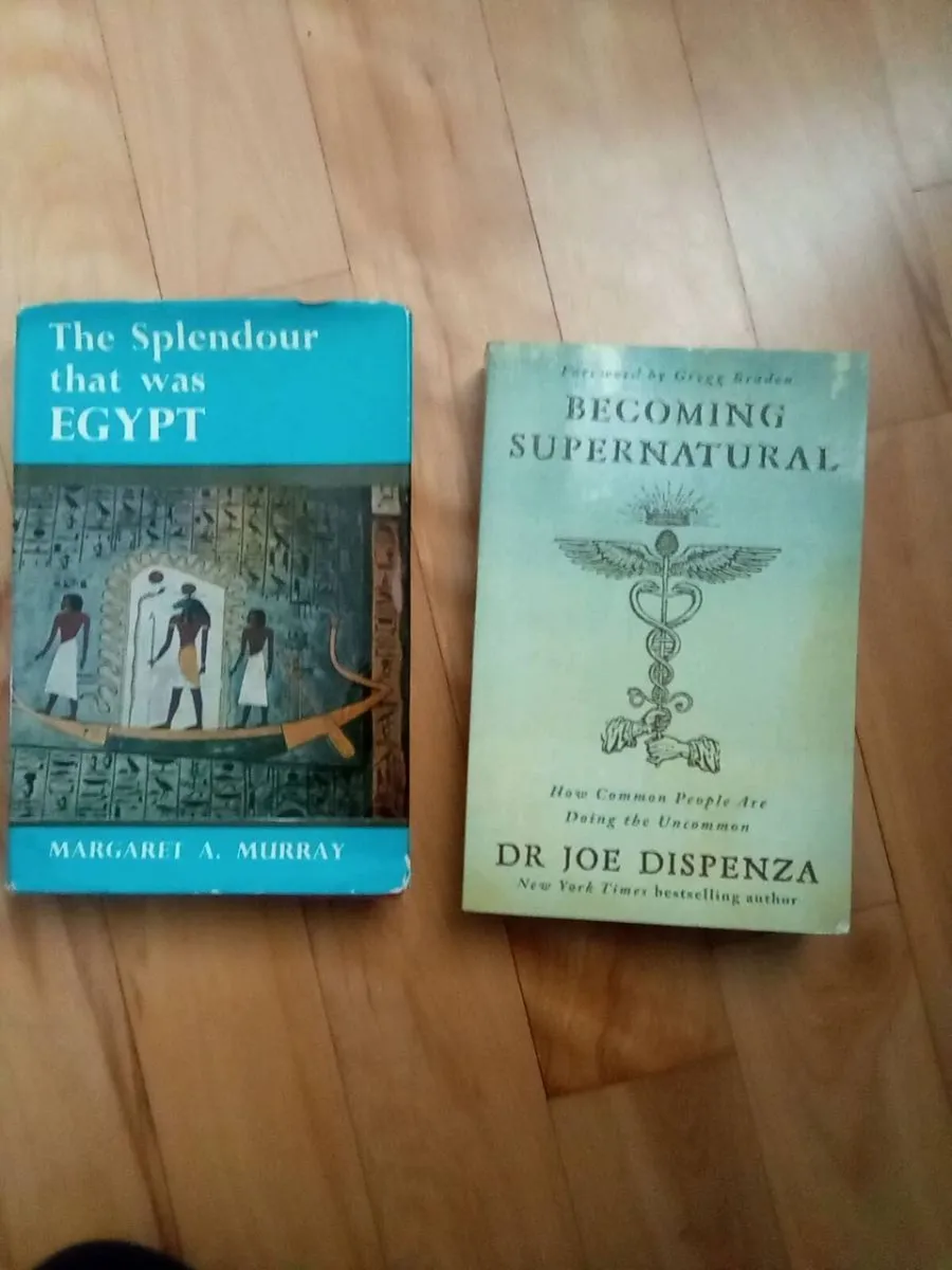 2. BOOKS.  AS. SHOWN. - Image 1