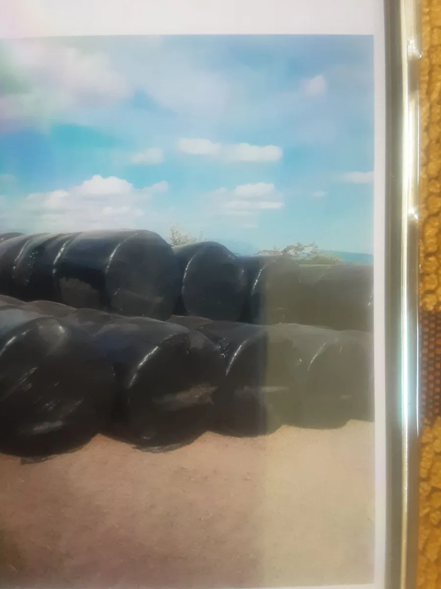 Round Bales of silage