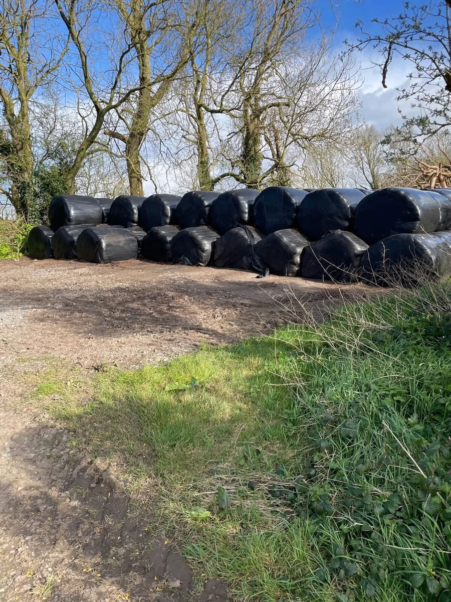 First cut silage baled end of may