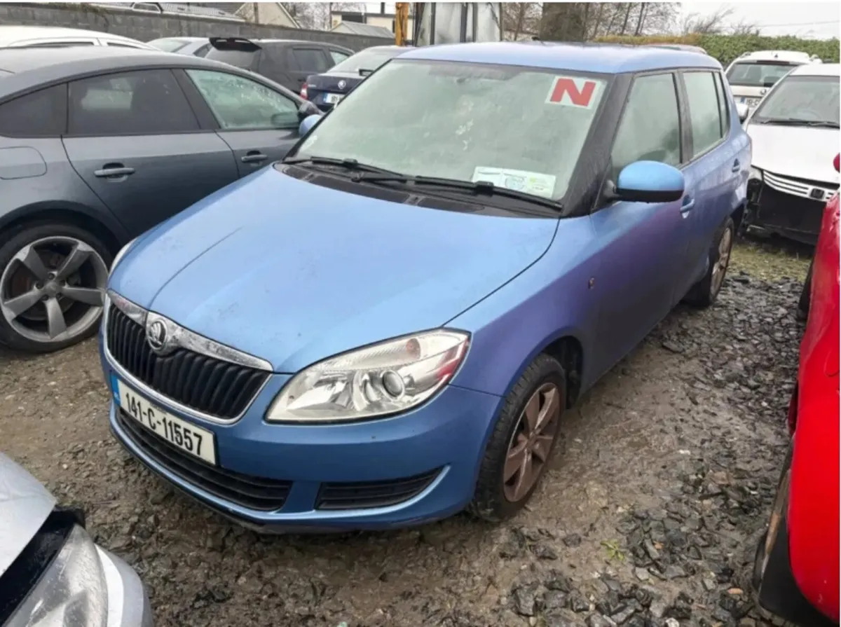 2014 Skoda Fabia 1.2 Petrol - Image 1