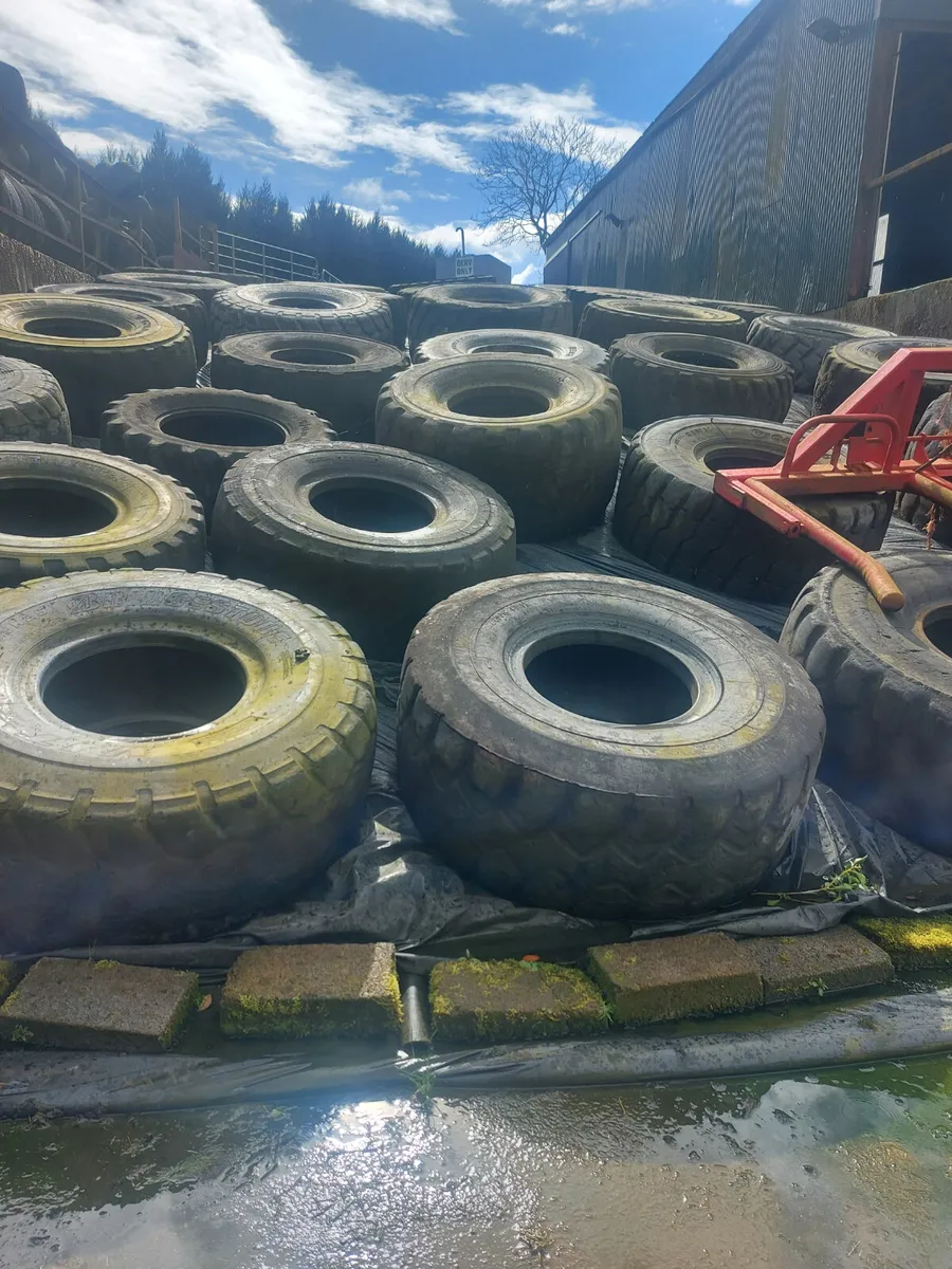 Pit Silage - Image 2
