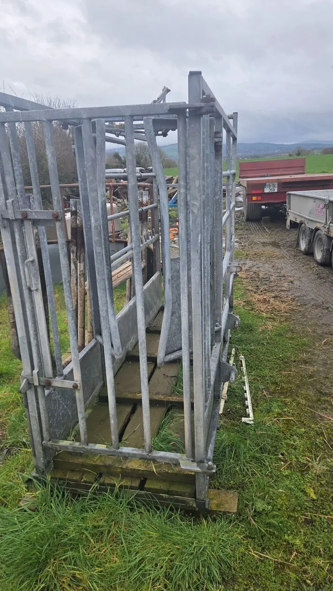 Mobile cattle crush - Image 1