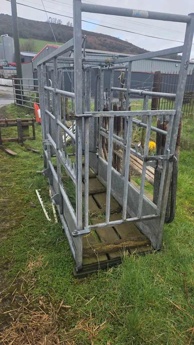 Mobile cattle crush - Image 2