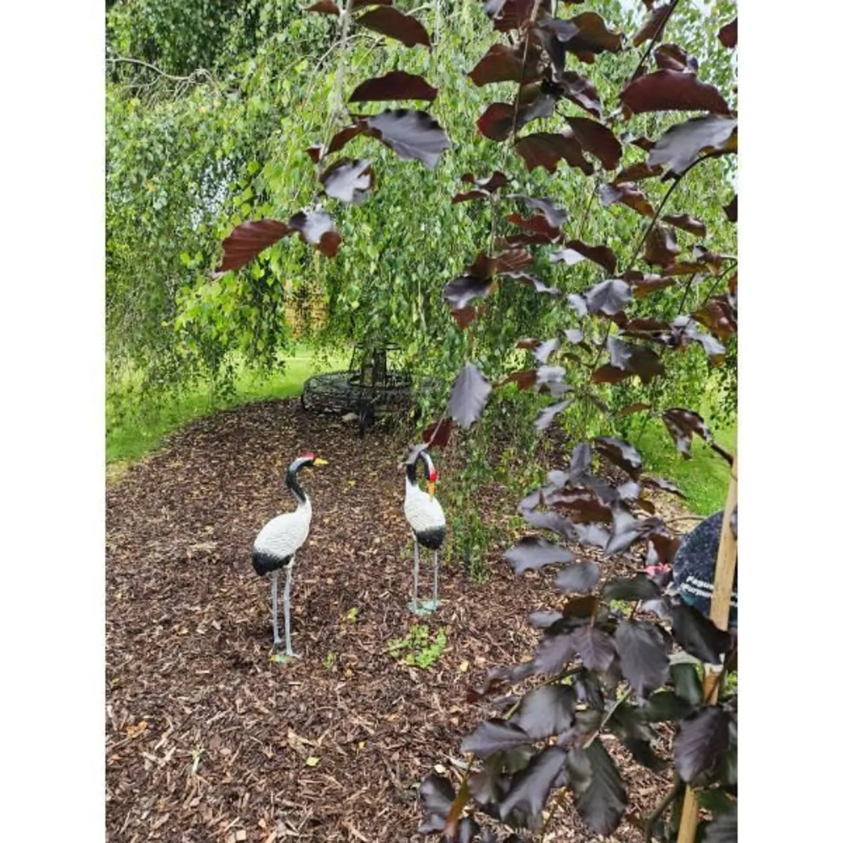 Crane Pairs – Black & White – H93 - Image 2