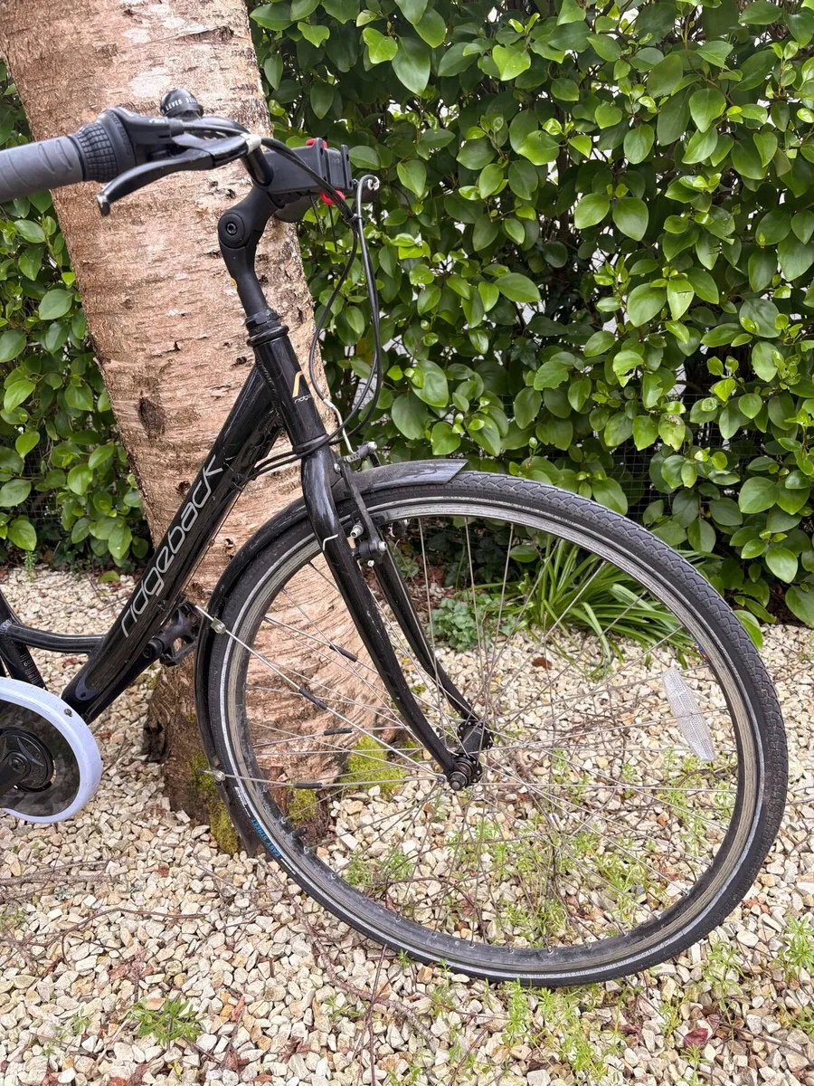 Bicycle - Ridgeback Ladies - Image 3