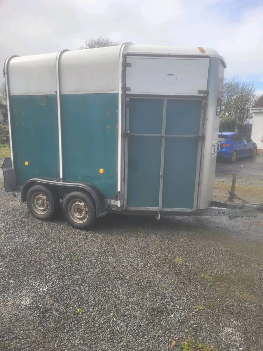 Ifor Williams horse box 505 full divider, - Image 1
