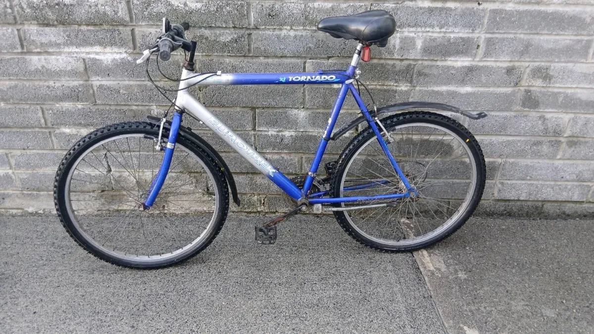 ADULTS BIKE - Image 2