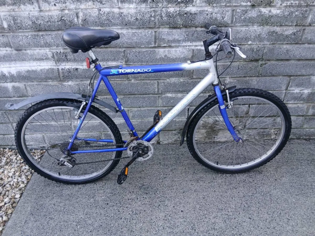 ADULTS BIKE - Image 1