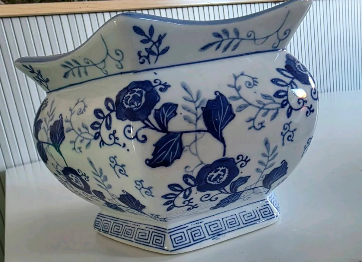 Orchid and Aloe vera - Image 4