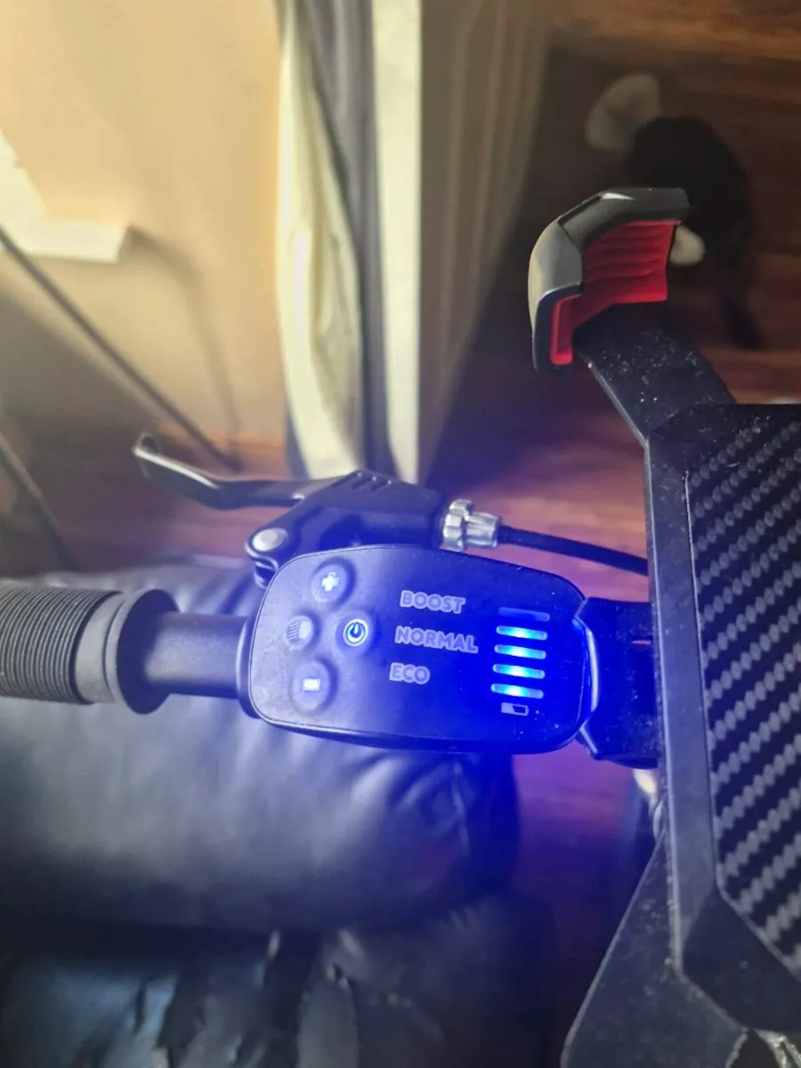 Electric mountain bike - Image 3