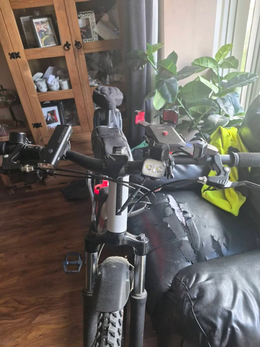 Electric mountain bike - Image 4