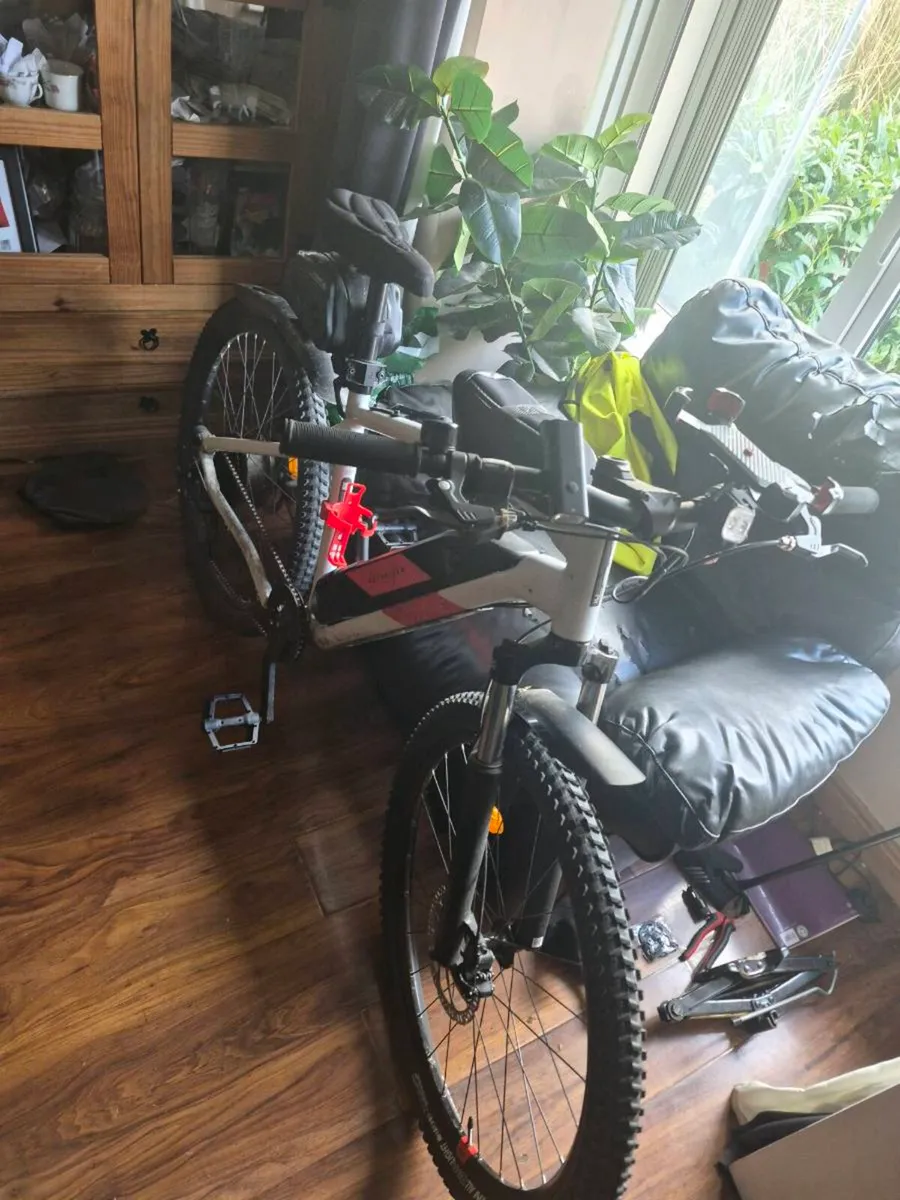 Electric mountain bike - Image 1