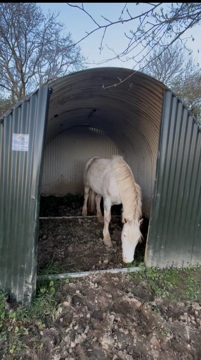 Horse shelter - Image 1