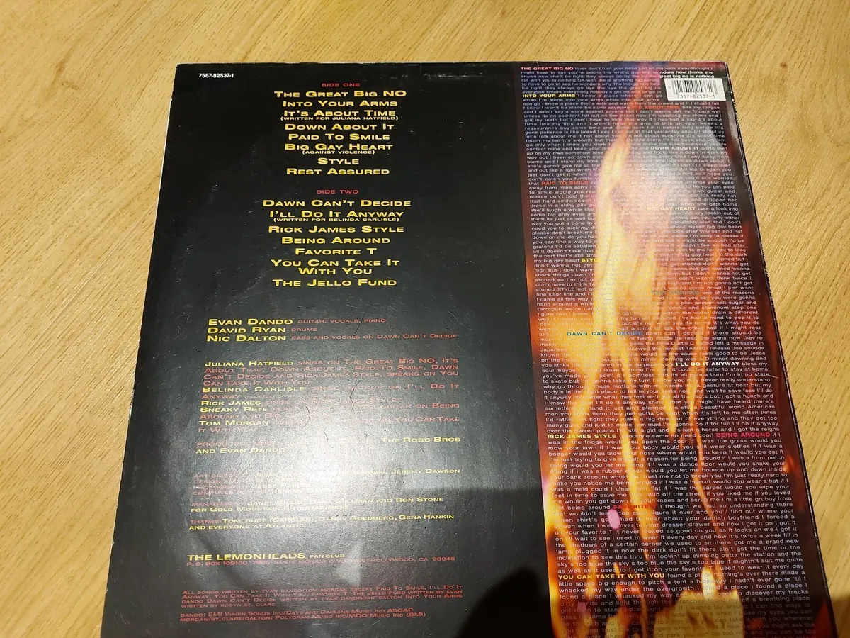 The Lemonheads - Come On Feel - Vinyl Record - Image 2