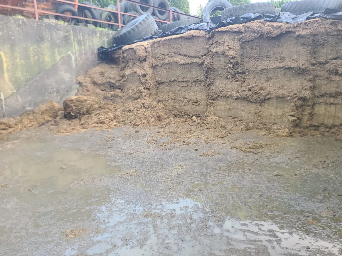 Pit Silage - Image 4