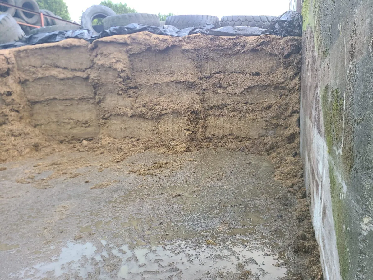 Pit Silage - Image 3