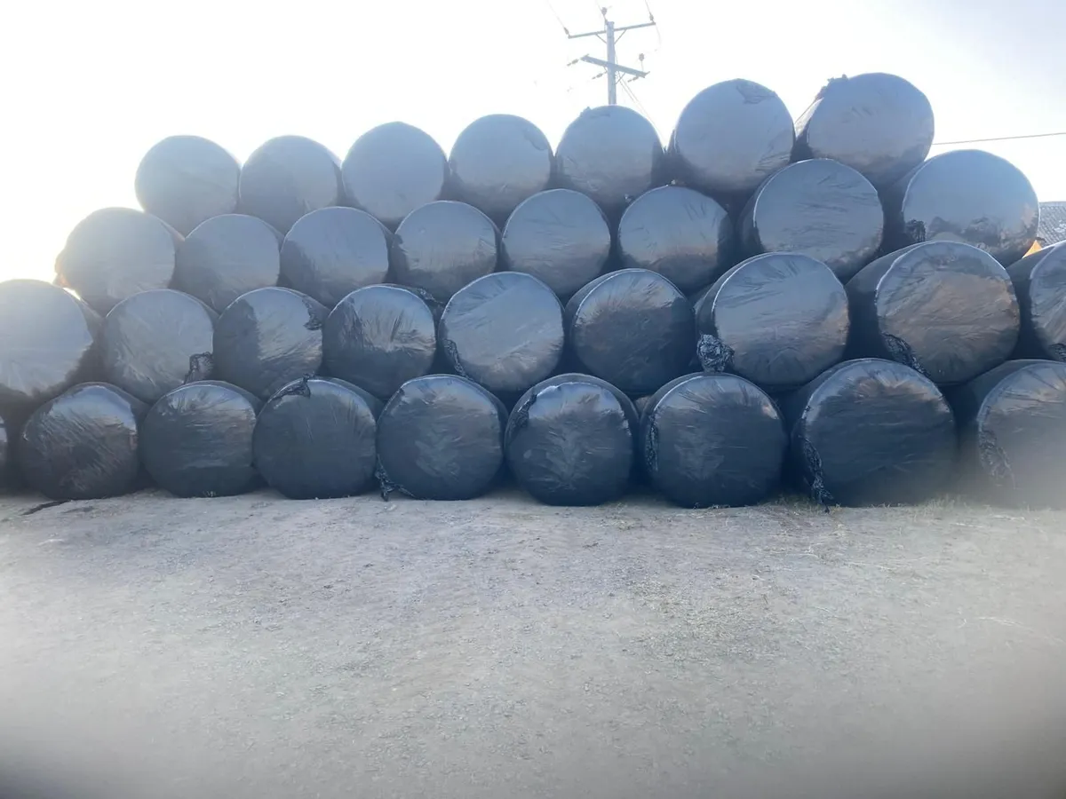 For Sale - SILAGE & HAYLAGE - Image 2