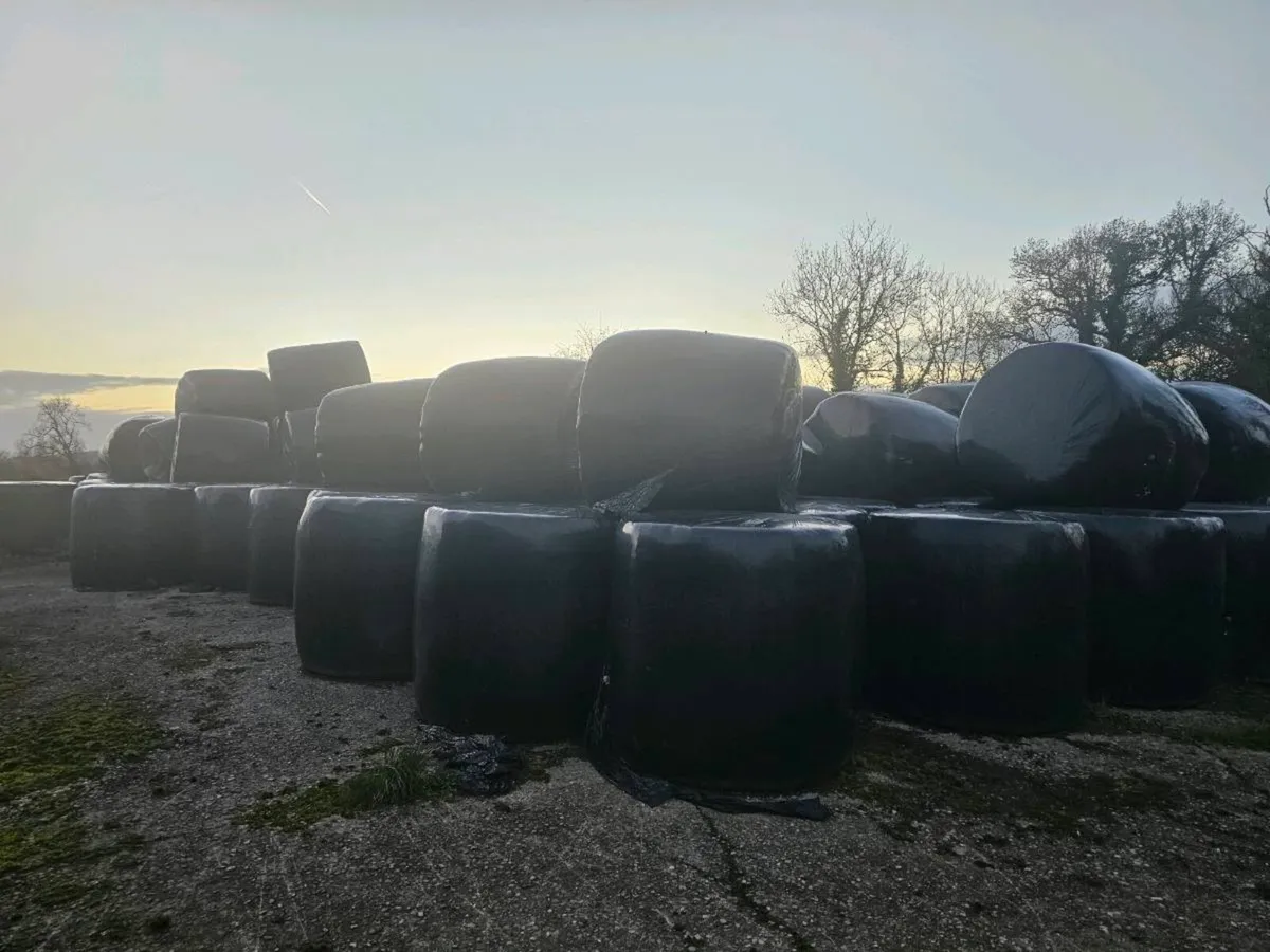 Silage bales