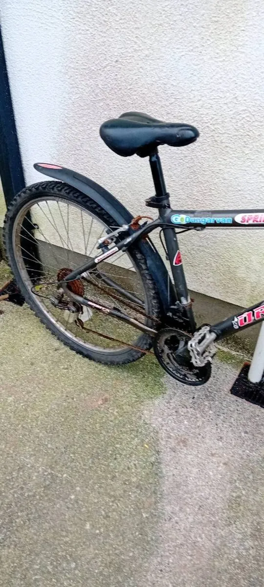 Adult bike - Image 2