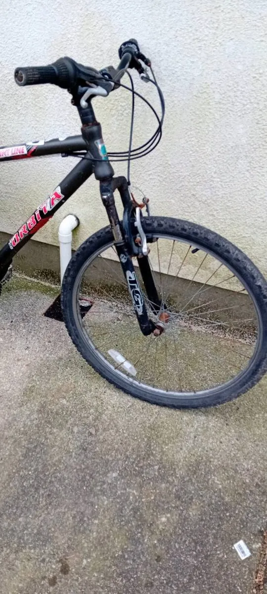 Adult bike - Image 3