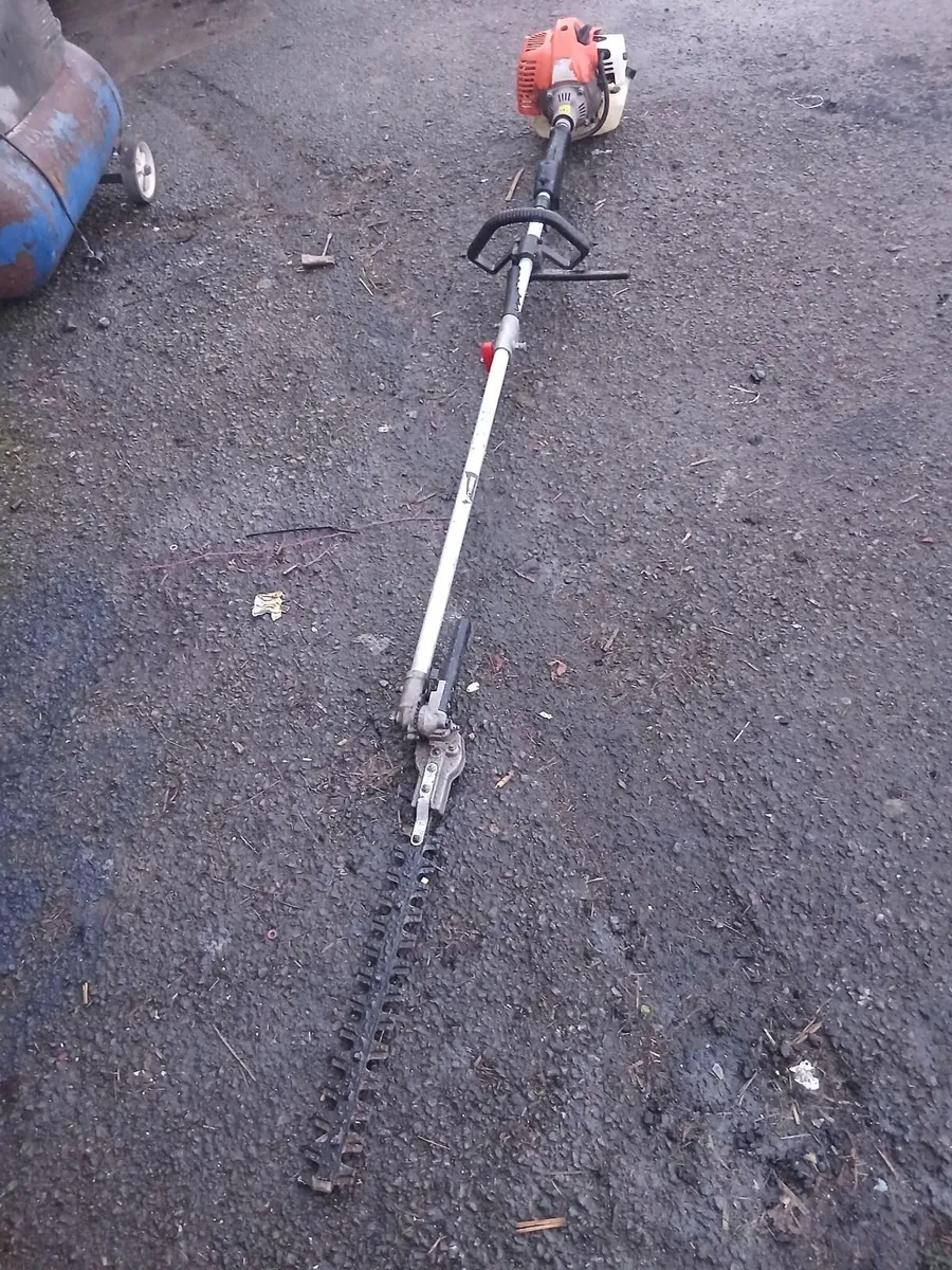 Hedge strummers running very well priced - Image 1