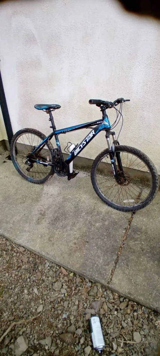 Adult bike - Image 1