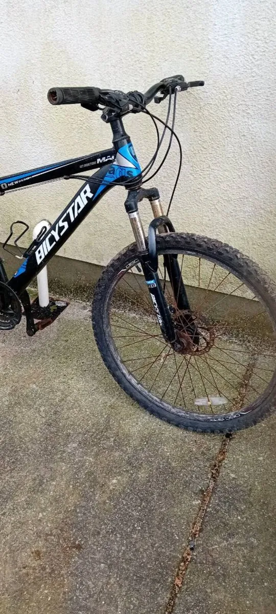 Adult bike - Image 2