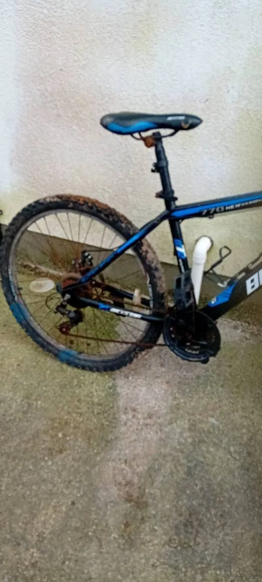 Adult bike - Image 3