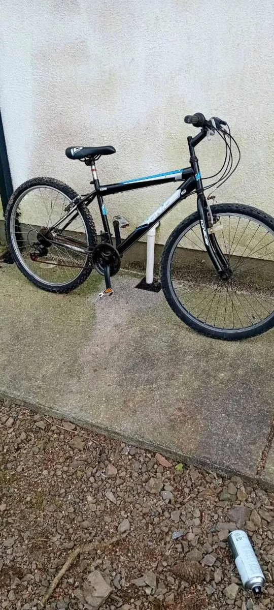 Adult bike - Image 1