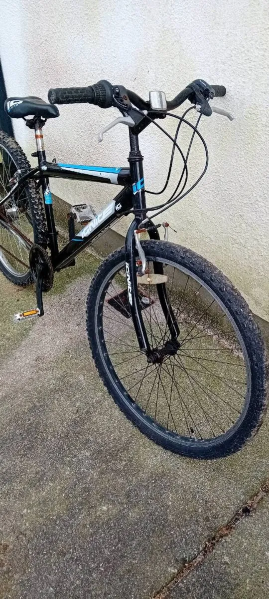 Adult bike - Image 2