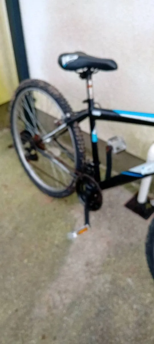 Adult bike - Image 3