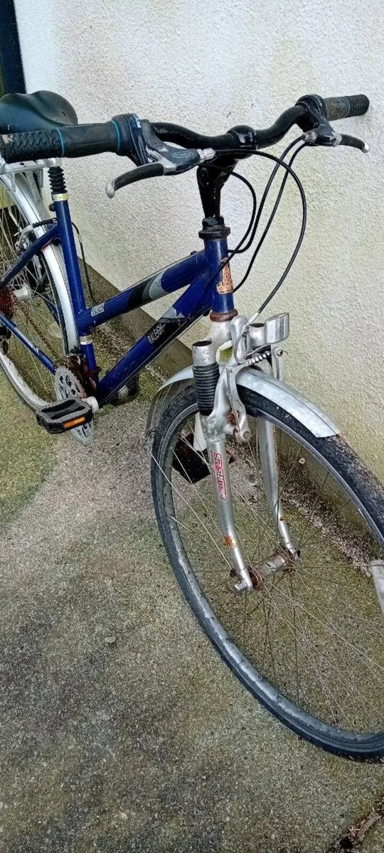 Adult bike - Image 2