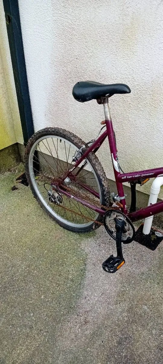 Adult bike - Image 3