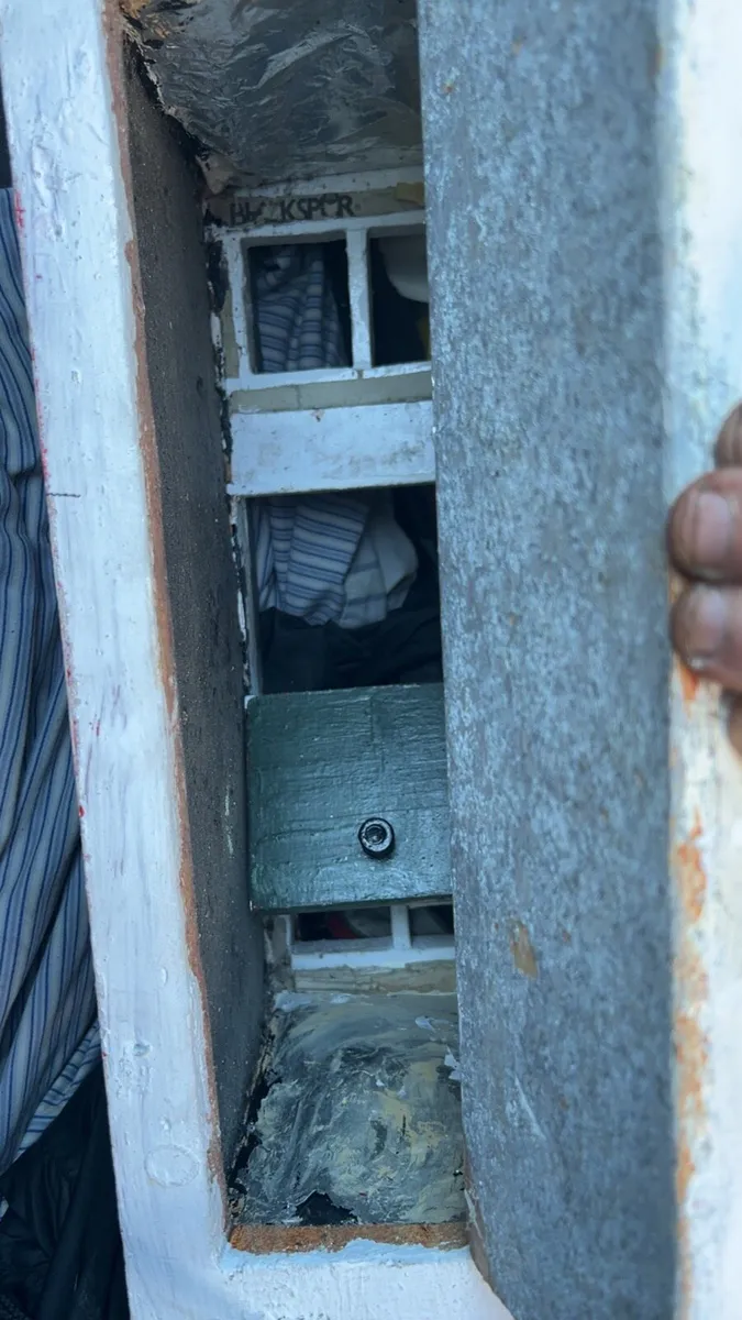 Electric Garden ornament - Image 2